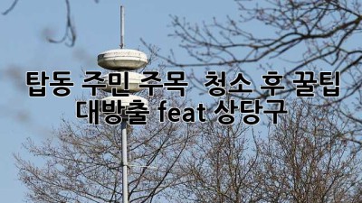 탑동 주민 주목! ✨ 청소 후 꿀팁🍯 대방출 (feat. 상당구)