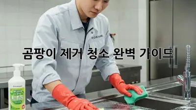 곰팡이 제거 청소 완벽 가이드
